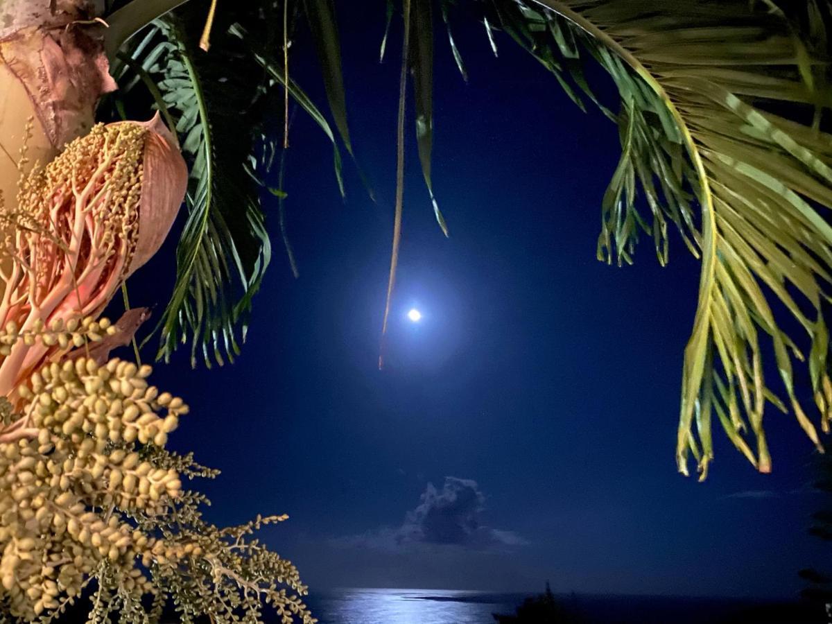 Villa Moai 974 سان لوي المظهر الخارجي الصورة